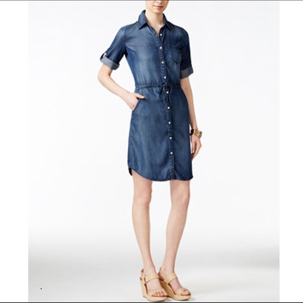 Lee Jeans Platinum Label Denim Slender Tilly Dress
